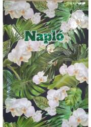 TopTimer Tárgyalási napló napi B/5 REAL Picture tropikál (5601-60)