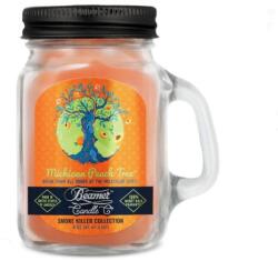 Beamer Candle Smoke Killer illatgyertya üvegedényben, füllel és fém kupakkal - Michigan Peach Tree - kicsi (BC-7421)
