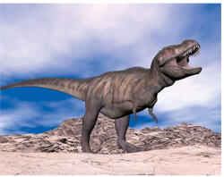  3D mágnes t-rex 9x7cm