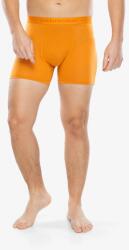 Icebreaker Anatomica Boxers Termoaktív boxeralsó - ray - L