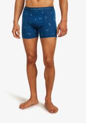 Icebreaker Merino 150 Anatomica Boxers Ski Day Termoaktív boxeralsó - atlantis/topaz/aop - S