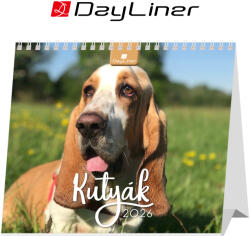 Dayliner Kutyák, fekvő asztali naptár DL