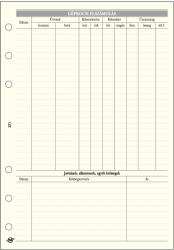 TopTimer Gépkocsi elszámolás - L371, Krém (Chamois)