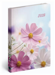 Realsystem Fiestina, B6 heti beosztású zsebnaptár, Szirmok