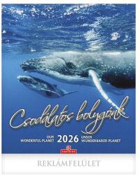 CSG Falinaptár CSG 300x340mm álló Csodálatos Bolygónk 2026