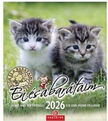 CSG Falinaptár CSG 190x220mm álló Én és a barátaim 2026