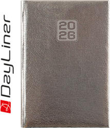 Dayliner Mirror, B6 heti beosztású agenda, Ezüst