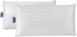 Todocama Perna Todocama Viskoelastica Set 2 Bucati Antibacteriana Termoreglabila Husa Dubla Detasabila (PALVIPL002X70)