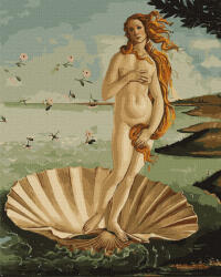 Ideyka Set pictura pe numere, cu sasiu, Nasterea lui Venus (detaliu) - Boticelli, 40 x50 cm (KHO4824)
