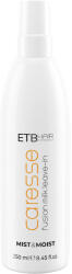 ETB Hair Caresse Mist Moist Fusion Milk Balsam Spray Leave In Hidratant cu Protecție de Culoare 250 ml (EH05158)