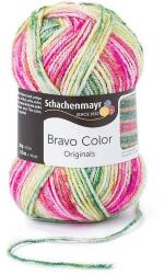 Schachenmayr Bravo Color fonal 5dkg színkód: 2123 (2122)