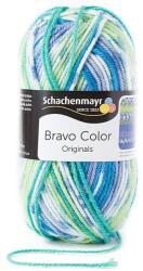 Schachenmayr Bravo Color fonal 5dkg színkód: 2080 (2080)