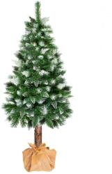 SPRINGOS Gyémánt fenyő törzsön 160 cm (CT0110)