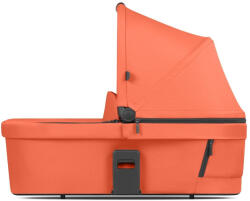 ABC Design Landou Carrot Abc Design (UT12004572400)