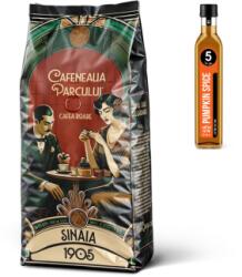 5 to go Pachet cafea boabe, Cafeneaua Parcului, Sinaia 1905, 1 kg + cadou sirop 250ml, pumpkin spice, 5 To Go PCK38600519