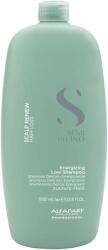 ALFAPARF Milano SDL Scalp Renew Șampon energizant împotriva căderii părului, 1000 ml
