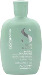 ALFAPARF Milano SDL Scalp Rebalance Șampon anti-mătreață, 250 ml