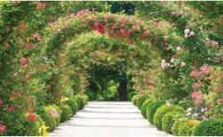 DEGRETS Fotótapéta DEGRETS 83479 Virág alagút 3D, 184x254cm (83479)