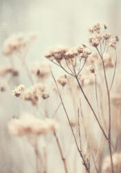 Takoy PANEL Wellsoft polár/fleece takaró varrásához 140x200 csendes szépség