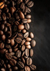 Takoy PANEL Wellsoft polár/fleece takaró varrásához 140x200 kávé íze