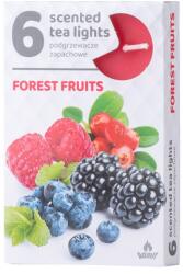  Teamécses 6Db Forest Fruits Illatgyertyák