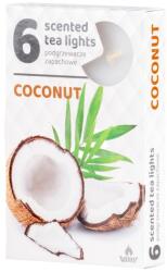  Teamécses 6 Db Coconut Illatgyertyák