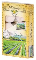  Teamécses 6 Db Vanília Prés. Illatgyertyák