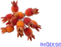  Deres csipkebogyó köteg 10cm - Narancs