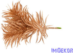  Kócos pozsgás pick 17cm - Arany