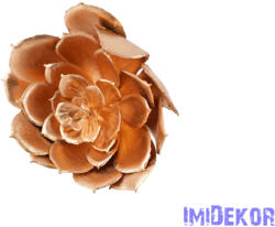  Kövirózsa 14cm - Arany