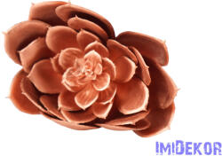  Kövirózsa 15cm - Bronz