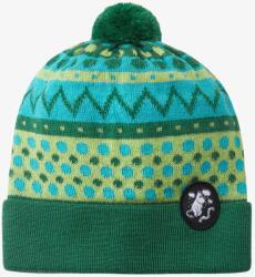 Reima Moomin Flinga Gyerek sapka - enchanted green - 48/50 cM