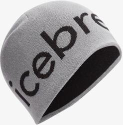 Icebreaker Merino Icebreaker Beanie Téli sapka - alloy/black - M