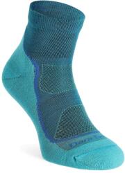 Darn Tough Light Hiker 1/4 Lightweight with Cushion Női merino gyapjú zokni - cascade - S