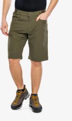 Salomon Wayfarer Short Rövidnadrág túrázáshoz - grape leaf - L