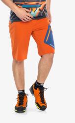 Crazy Short Resolution Rövidnadrág - resina - L