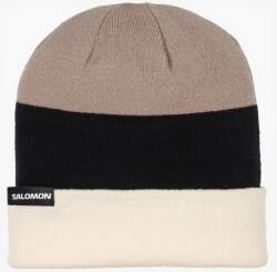 Salomon Flatspin Reversible Beani Téli sapka - black/whisper white/etherea - M