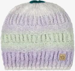 E9 Chass2.4 Téli sapka - violet