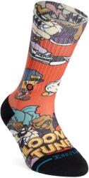 Stance Kids Looney Crew Gyerekzokni - multi - Multi