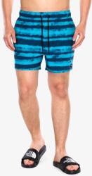 Oakley Blur Stripes Rc 16 Beachshort Rövidnadrág - blurred stripe bl - L