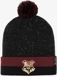Stance Hogwarts Pom Beanie Téli sapka - black