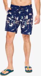 Kavu Costa Short Rövidnadrág - crane crew - L