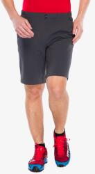 Rab Momentum Shorts Rövidnadrág túrázáshoz - graphene - L