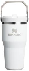 STANLEY IceFlow Flip Straw Tumbler 0.6L, Frost - 10-12044-043 (10-12044-043)