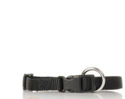 ANIPRO Zgarda HoneyPet Sport + 20mm/40-55cm neagră