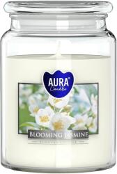 BISPOL Jasmine 500 g