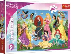 Trefl Prințese Disney fermecătoare 100 piese Puzzle
