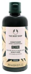 The Body Shop 250 ml - douglas - 2 303 Ft