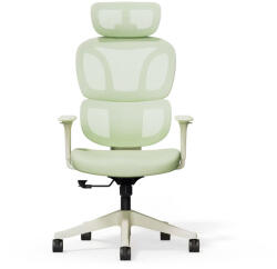 FlexiSpot Ergonomikus irodai szék BS5, zöld- hálós háttámla, állítható karfák és modern megjelenés (BS5G)