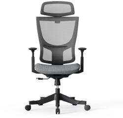 FlexiSpot Ergonomikus irodai szék BS8, Szürke - 9 állítható háttámla pozícióval, lélegző hálós kivitel (BS8G)